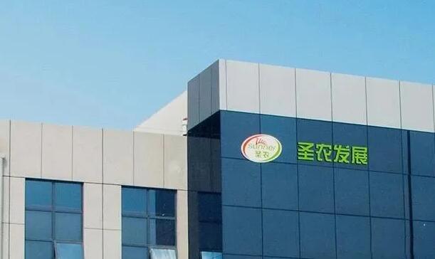 肉雞收入最高上升138.94%！福建圣農(nóng)、廣東溫氏、寧夏曉鳴、山東益生、江蘇立華、山東民和、山東仙壇等11月肉雞銷售情況