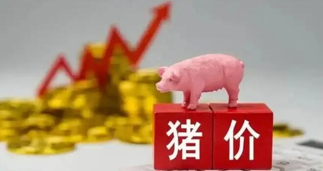 豬價(jià)開(kāi)門紅！25省上漲，局地沖擊9元大關(guān)！